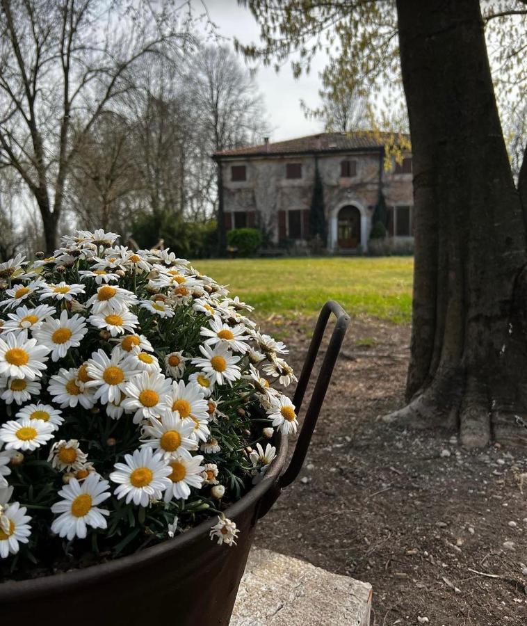 Agriturismo Corte San Girolamo Mantova Luaran gambar