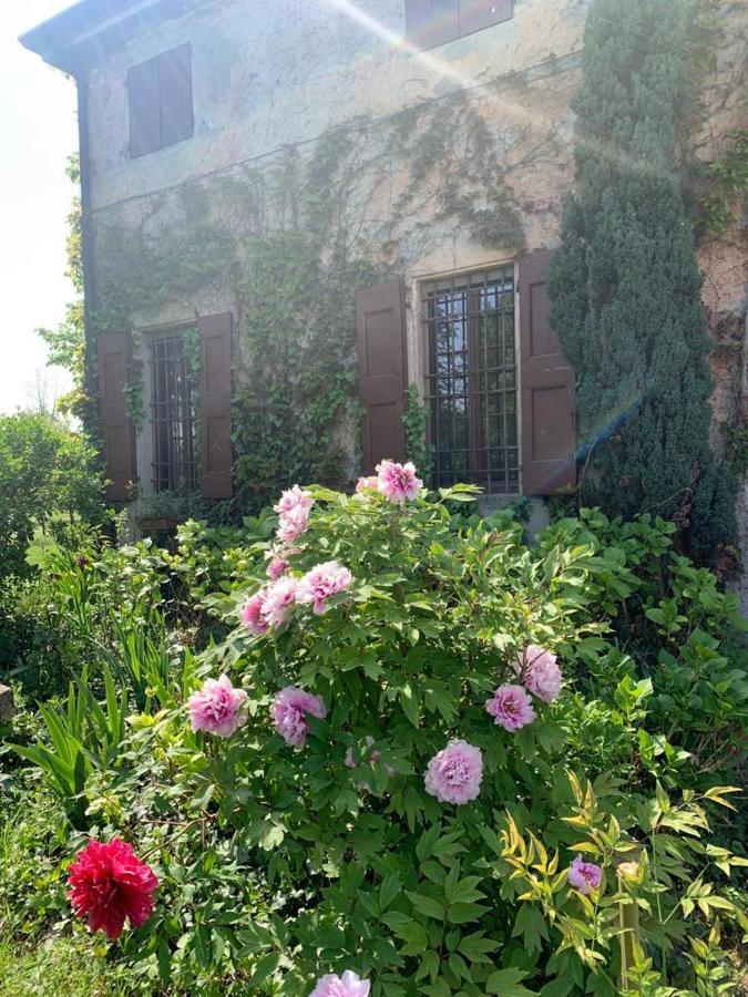 Agriturismo Corte San Girolamo Mantova Luaran gambar