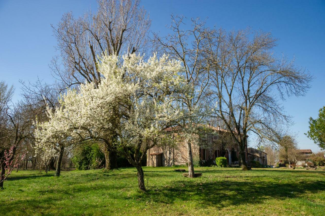 Agriturismo Corte San Girolamo Mantova Luaran gambar